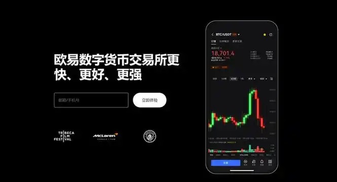 免费下载OKpay钱包页面展示